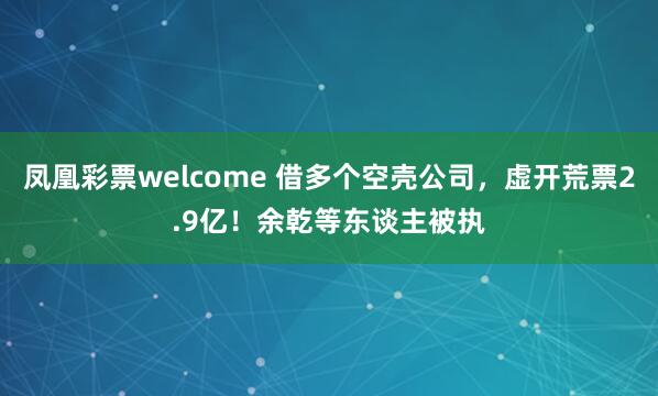 凤凰彩票welcome 借多个空壳公司，虚开荒票2.9亿！余乾等东谈主被执