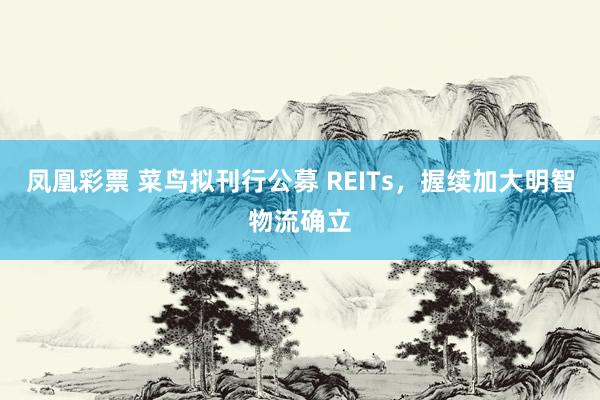 凤凰彩票 菜鸟拟刊行公募 REITs，握续加大明智物流确立