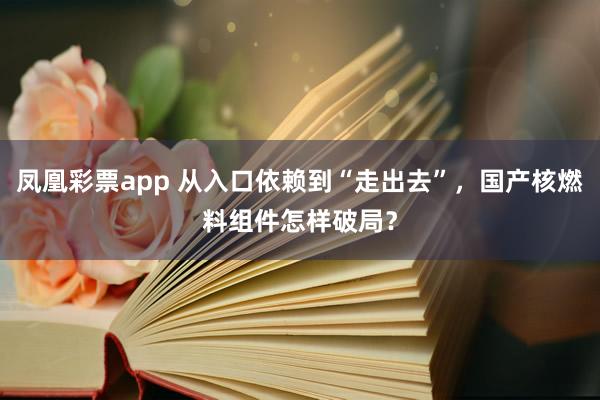 凤凰彩票app 从入口依赖到“走出去”，国产核燃料组件怎样破局？