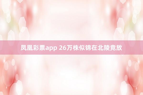 凤凰彩票app 26万株似锦在北陵竞放
