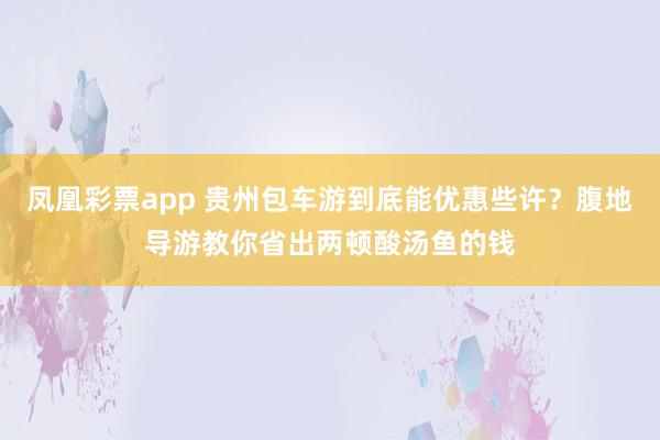 凤凰彩票app 贵州包车游到底能优惠些许？腹地导游教你省出两顿酸汤鱼的钱