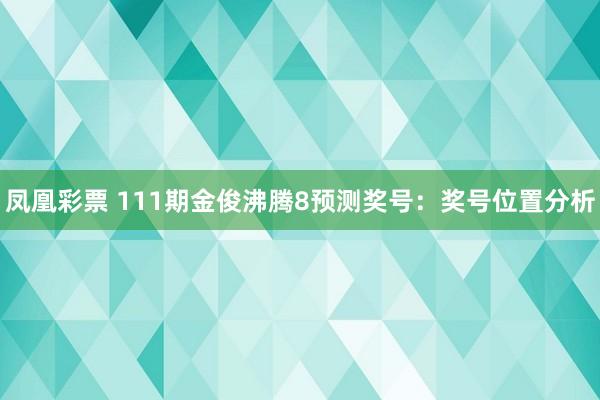 凤凰彩票 111期金俊沸腾8预测奖号：奖号位置分析