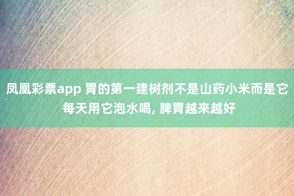 凤凰彩票app 胃的第一建树剂不是山药小米而是它 每天用它泡水喝， 脾胃越来越好