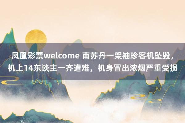 凤凰彩票welcome 南苏丹一架袖珍客机坠毁，机上14东谈主一齐遭难，机身冒出浓烟严重受损