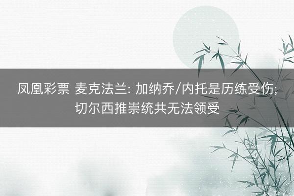 凤凰彩票 麦克法兰: 加纳乔/内托是历练受伤;切尔西推崇统共无法领受