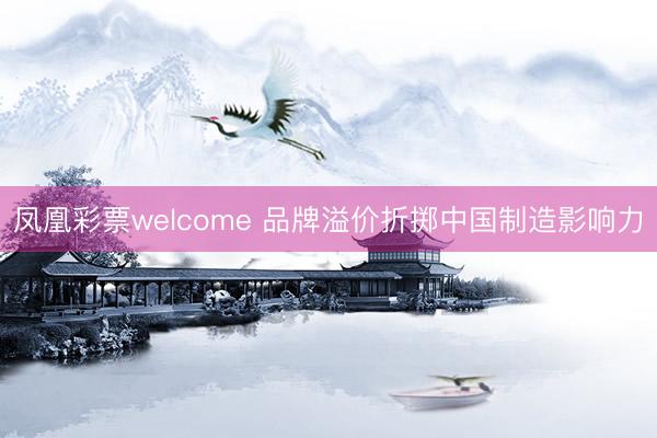 凤凰彩票welcome 品牌溢价折掷中国制造影响力