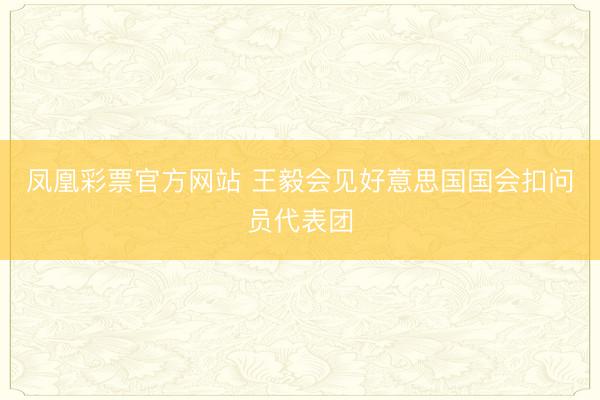 凤凰彩票官方网站 王毅会见好意思国国会扣问员代表团
