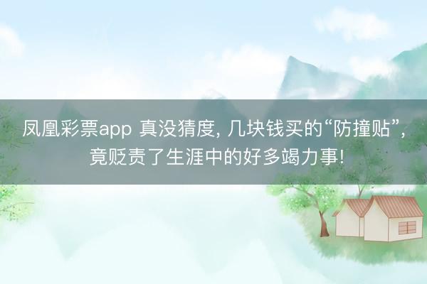 凤凰彩票app 真没猜度， 几块钱买的“防撞贴”， 竟贬责了生涯中的好多竭力事!